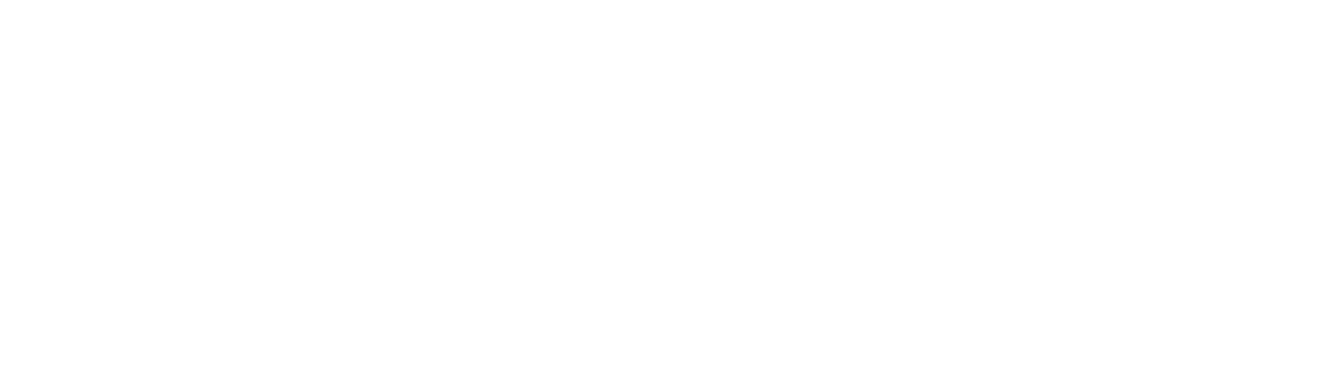 Iulica Ambient